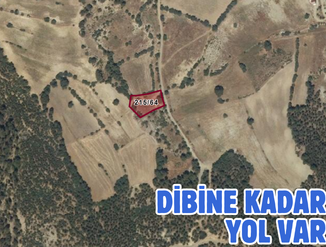 DENİZLİ BOZKURT İNCELER 1.949 M² TARLAMIZ SATILIKTIR - DENİZLİ BOZKURT fotoğraf 2
